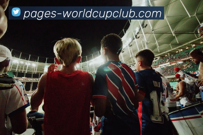 世界杯规则平台生态图