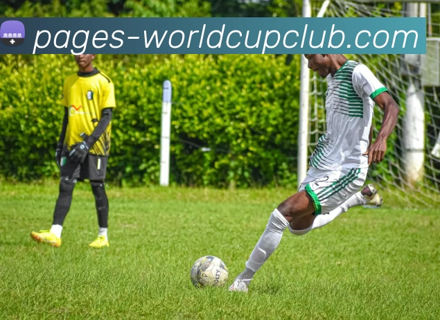 世界杯规则APP 封面图